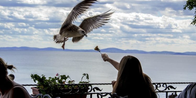 Cijene u kolovozu 2024. više za 1,8% na godišnjoj razini