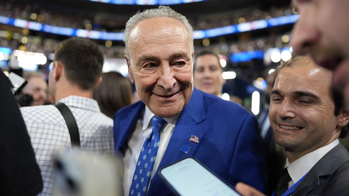 Chuck Schumer promatra United Center, drugog dana Demokratske nacionalne konvencije