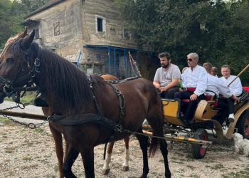 FILIP ZAPROSIO SARU Ovakva prošnja se ne viđa često
