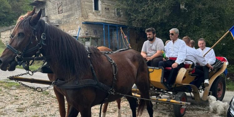 FILIP ZAPROSIO SARU Ovakva prošnja se ne viđa često