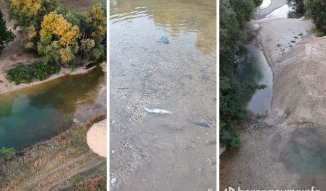 FOTO/VIDEO Uređenje ili devastacija? Mještani na Mostarskom blatu prijavili eksploataciju pijeska i pomor ribe