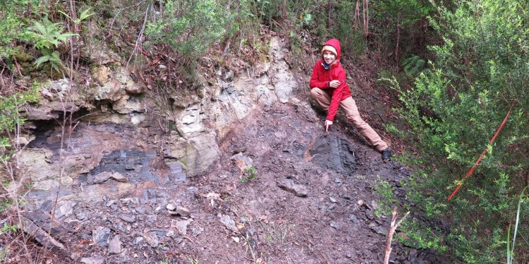 Fosili biljaka otkriveni u drevnoj šumi Tasmanije pričaju ‘nevjerojatnu priču’