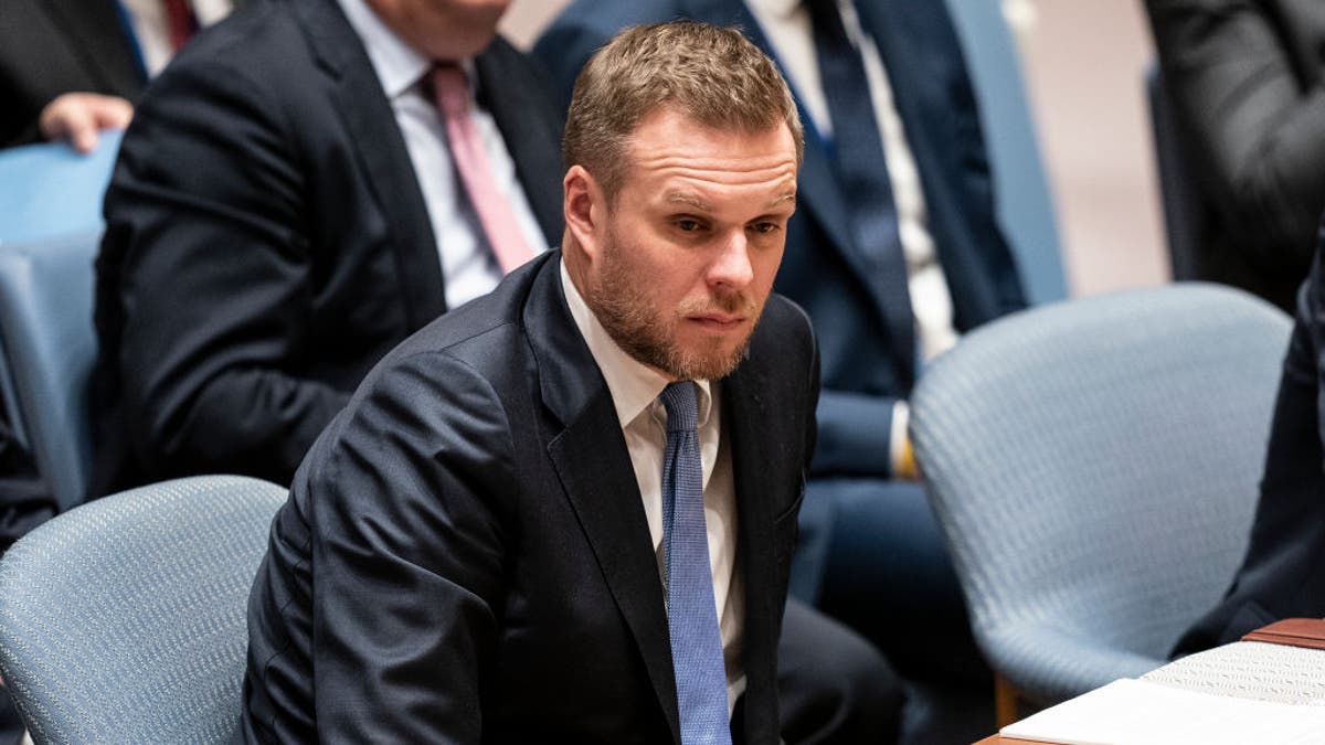 Litavski ministar vanjskih poslova u Vijeću sigurnosti UN-a u New Yorku.