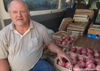 HERCEGOVAČKI ŠIPCI Godina zahtjevna i teška, ali plodovi nikad bolji. Evo kako se kreću cijene