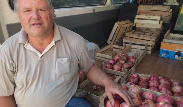 HERCEGOVAČKI ŠIPCI Godina zahtjevna i teška, ali plodovi nikad bolji. Evo kako se kreću cijene