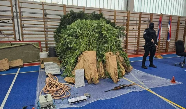 IMAO I IMPROVIZIRANI LABORATORIJ 60-godišnjak uzgajao marihuanu pored glavne ceste, pronašli mu i oružje