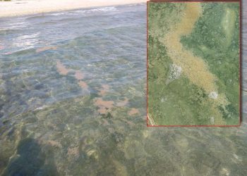 Još prošle godine pukla cijev od kanalizacije, turisti dobili osip i završili u bolnici