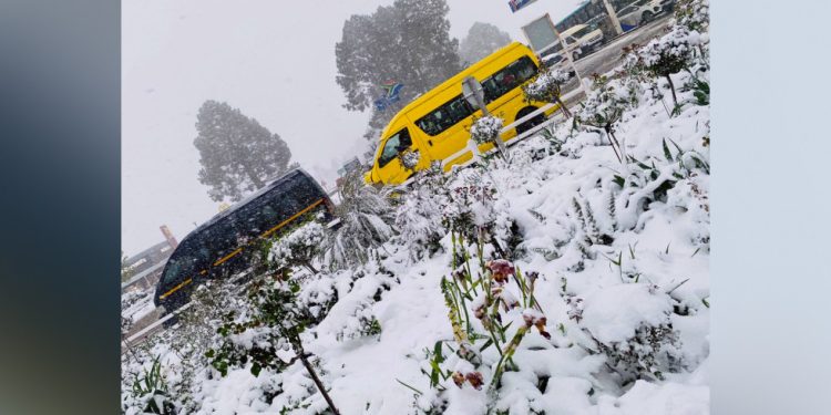 Južnu Afriku pogodile iznenadne snježne padaline (SLIKE, VIDEO) — RT Africa
