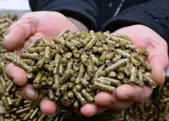 KAKO ĆETE SE GRIJATI OVE ZIME? Evo koje su trenutne cijene ogrjevnog drveta i peleta na tržištu BiH