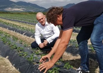 Ministar poljoprivrede, šumarstva i ribarstva u obilasku proizvođača doline Neretve