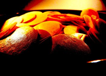 Mjesecima učio gutati kako bi primio Hostiju: ‘Vjernici dovedeni do suza’