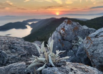 Nacionalni park Mljet odabrao najbolje fotografije prirodne, kulturne i tradicijske baštine