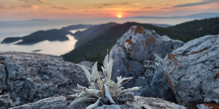 Nacionalni park Mljet odabrao najbolje fotografije prirodne, kulturne i tradicijske baštine