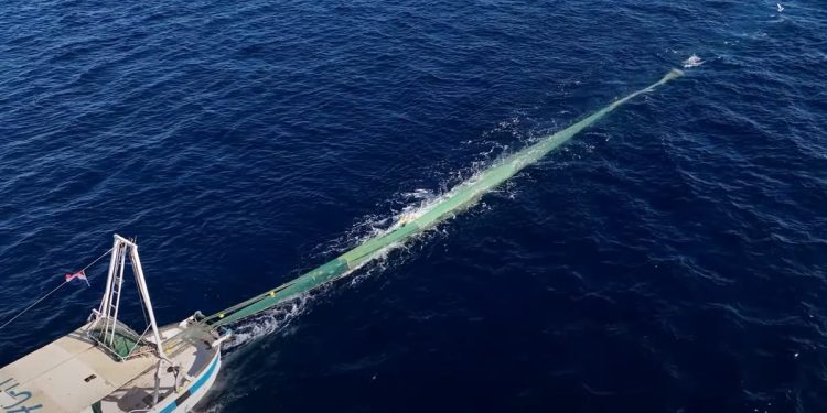 Najavljena jednomjesečna obustava ribolova za koćarice!