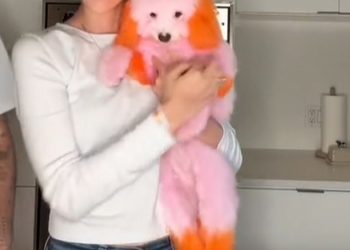 Nicola Peltz šokira obožavatelje dok boji svoje pse u ružičasto i narančasto nakon što je ‘podnijela tužbu protiv timaritelja kućnih ljubimaca’ zbog iznenadne smrti voljene čivave