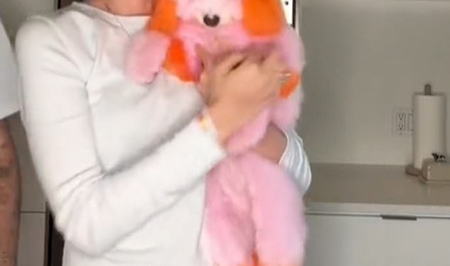 Nicola Peltz šokira obožavatelje dok boji svoje pse u ružičasto i narančasto nakon što je ‘podnijela tužbu protiv timaritelja kućnih ljubimaca’ zbog iznenadne smrti voljene čivave