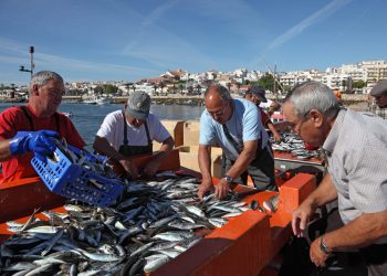 Objavljeni Pravilnici za stavljanje na tržište proizvoda iz ribarstva i akvakulture