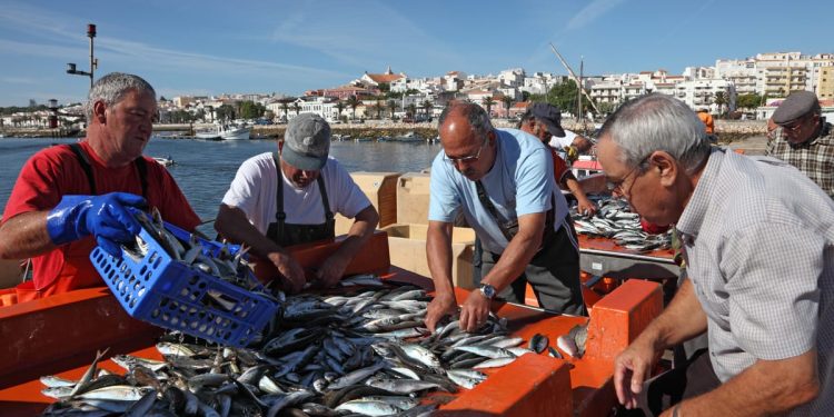 Objavljeni Pravilnici za stavljanje na tržište proizvoda iz ribarstva i akvakulture