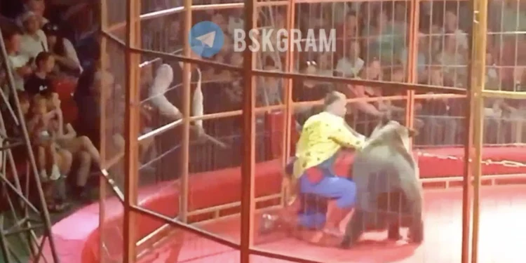 POGLEDAJTE: Ljutiti medvjed napao trenera tijekom predstave pred stotinama prestravljene djece, roditelja