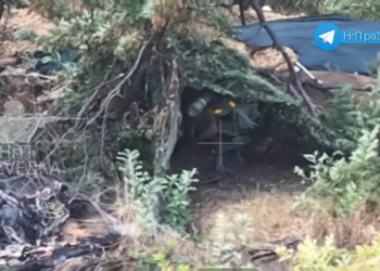 POGLEDAJTE video napada na ukrajinski protuzračni sustav švedske proizvodnje — RT Rusija i bivši Sovjetski Savez