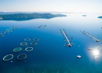 POTPORE ZA UZGAJALIŠTA RIBE DO 10 MILIJUNA EURA! Ministarstvo poljoprivrede i ribarstva otvorilo natječaj za “Povećanje potencijala akvakulturnih lokaliteta”