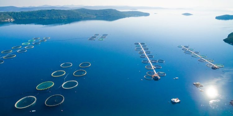 POTPORE ZA UZGAJALIŠTA RIBE DO 10 MILIJUNA EURA! Ministarstvo poljoprivrede i ribarstva otvorilo natječaj za “Povećanje potencijala akvakulturnih lokaliteta”