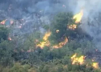POŽAR KOD LJUBINJA Put prema Stocu ponovno prohodan, ali situacija je i dalje teška