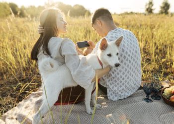 Papa upozorio ljubitelje pasa i mačka: ‘Ovo nije uredu’