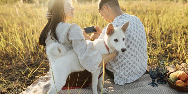 Papa upozorio ljubitelje pasa i mačka: ‘Ovo nije uredu’