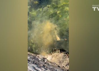 Pogledajte kako prazne septičku u more!