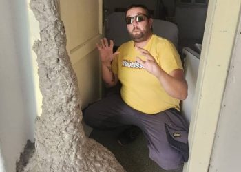 Pogledajte ovo gigantsko gnijezdo stršljenova snimljeno na Šolti!