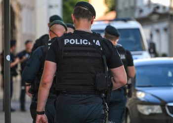 Policija države EU u lovu na entuzijaste slova Z — RT Rusija i bivši Sovjetski Savez