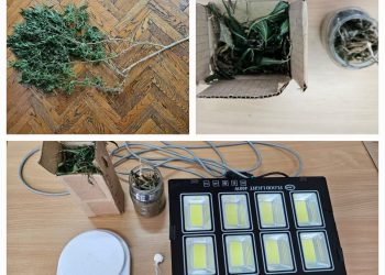 Policija u stanu u Dućama pronašla drogu, tip u stanu držao i stabljiku marihuane