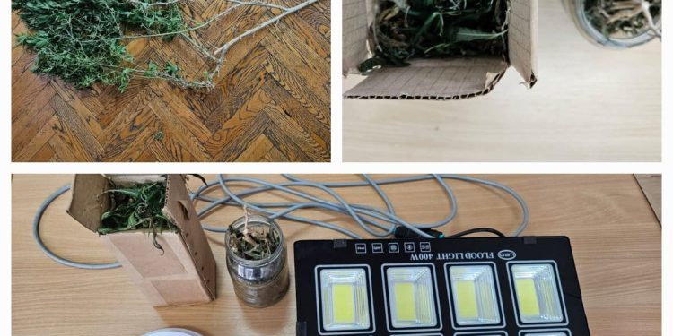 Policija u stanu u Dućama pronašla drogu, tip u stanu držao i stabljiku marihuane