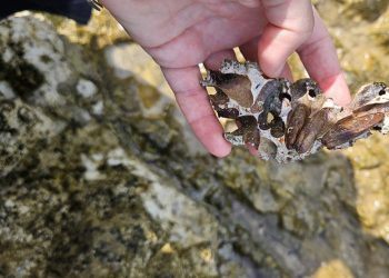 Prijavila bi krivca, ali nemam koga, ostaju jedino ove izlomljene stijene!