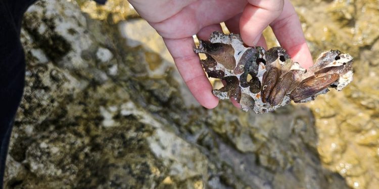 Prijavila bi krivca, ali nemam koga, ostaju jedino ove izlomljene stijene!