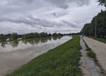 Priroda pokazal svoju snagu: Pogledajte kako izgleda savski nasip, stigla poruka stručnjaka