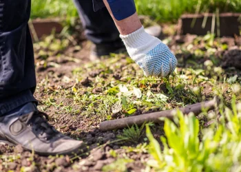 Profesor geografije pronalazi drevni kamen s misterioznom porukom u vrtu, proveo je godine tražeći odgovore
