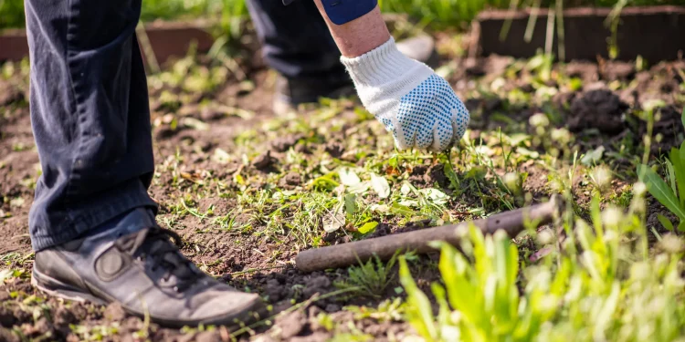 Profesor geografije pronalazi drevni kamen s misterioznom porukom u vrtu, proveo je godine tražeći odgovore