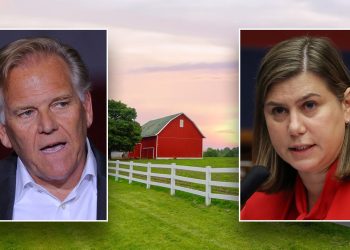 ‘Prokleto značajno’: Slotkin je pretrpio udarac u Michiganu jer je poljoprivredni ured odbacio demokrate da podrže kandidata GOP-a