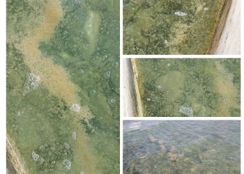 Reagirali iz Grada Vodica: “Nigdje nije pukla cijev, more je izvrsne kakvoće, radite nam štetu!”