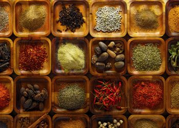 Rusija daje indijskim izvoznicima veći pristup tržištu – New Delhi – RT India