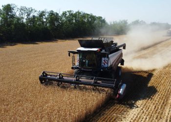 Rusija povećava izvoz pšenice u Afriku — RT Afrika