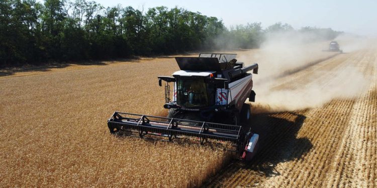 Rusija povećava izvoz pšenice u Afriku — RT Afrika