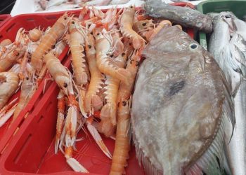 SVEGA IMA NA SPLITSKOJ PEŠKARIJI Veliki škampi 60 eura, evo što je još u ponudi