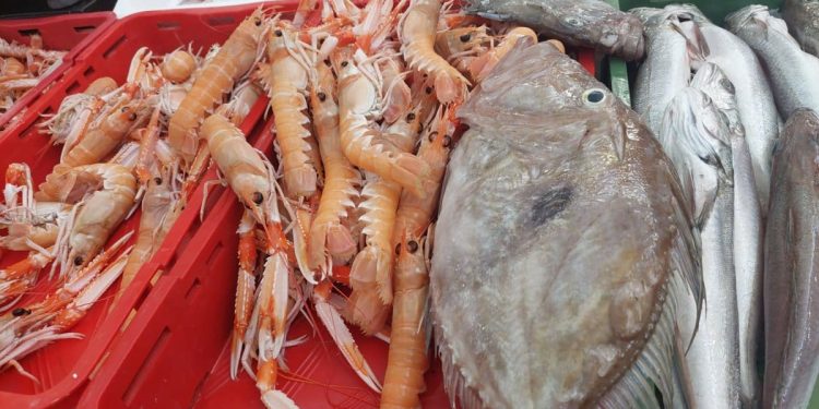 SVEGA IMA NA SPLITSKOJ PEŠKARIJI Veliki škampi 60 eura, evo što je još u ponudi