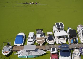 Sava odjednom pozelenila, otkriveno što se događa: ‘To je katastrofa’