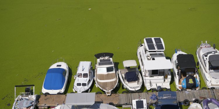 Sava odjednom pozelenila, otkriveno što se događa: ‘To je katastrofa’