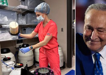 Schumer oživljava prijedlog zakona o IVF-u koji podržavaju Demokratije nakon Trumpovog prijedloga