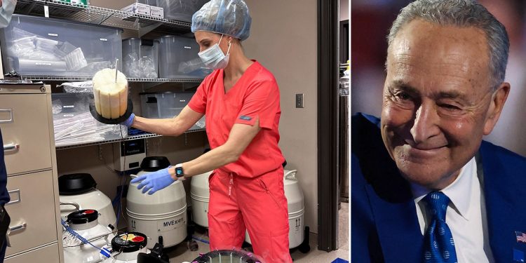 Schumer oživljava prijedlog zakona o IVF-u koji podržavaju Demokratije nakon Trumpovog prijedloga